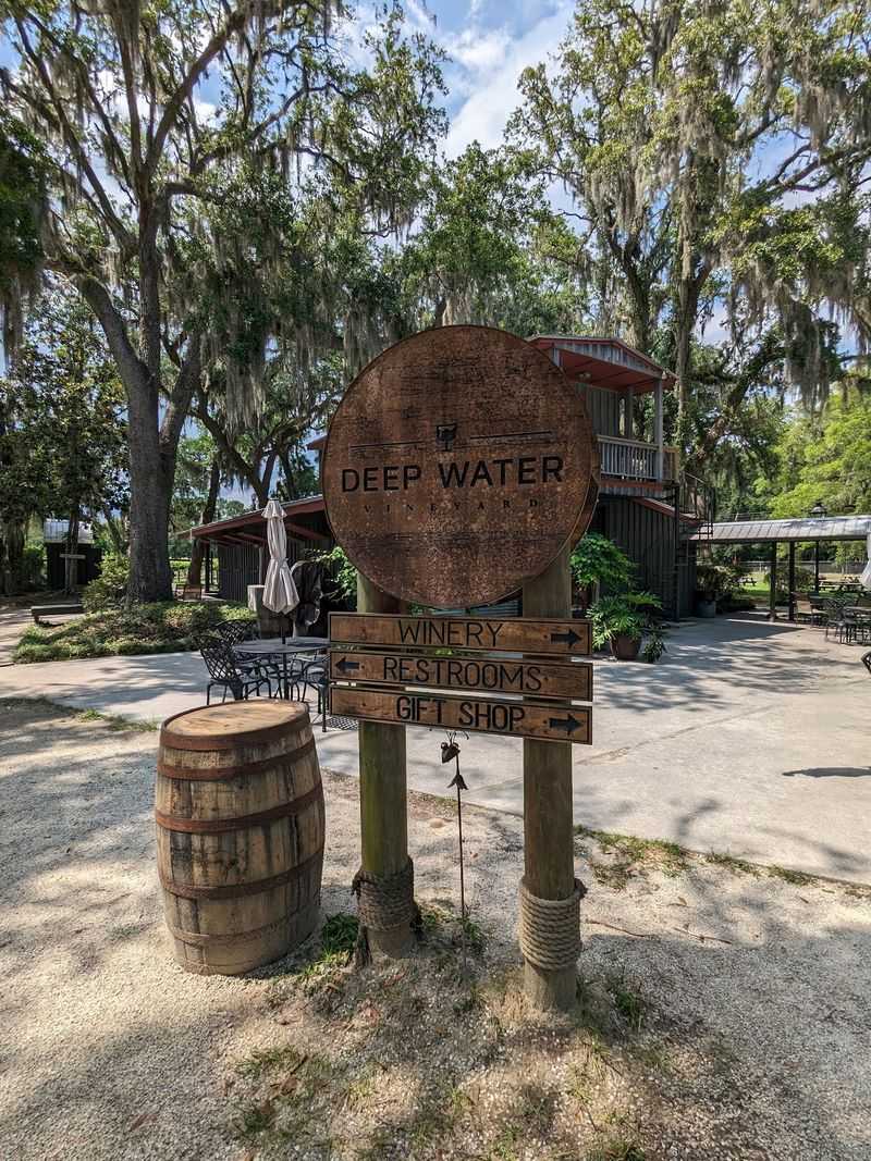 Deep Water Vineyard