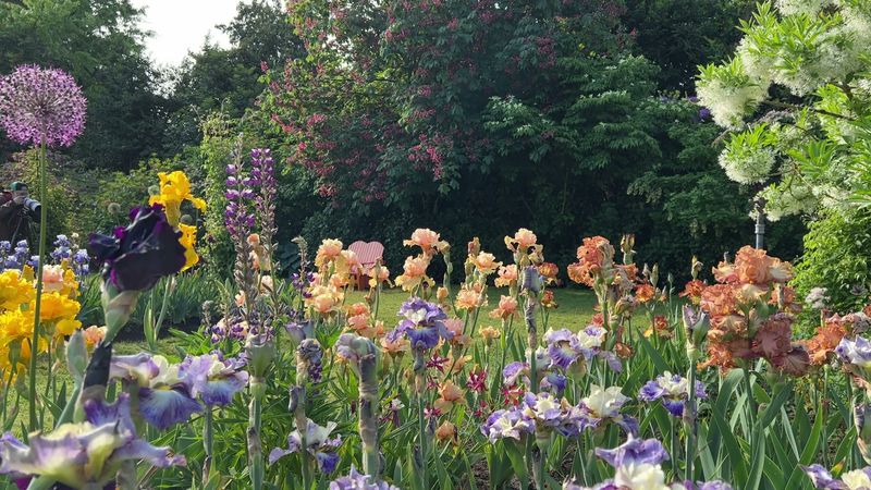 Schreiner’s Gardens