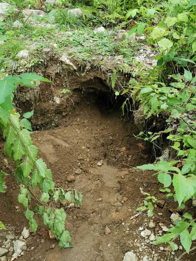 Deer Hill Mineral Collecting Area, Stow Deer Hill Mineral Collecting Area, Stow