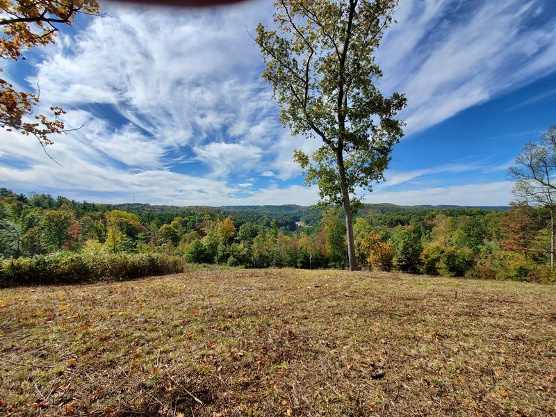 Deersville, Country Roads, And Nearby Detours