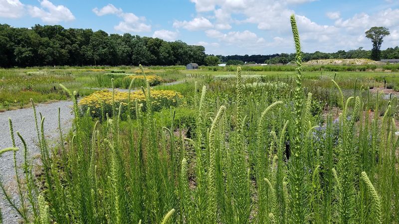 Delaware Botanic Gardens