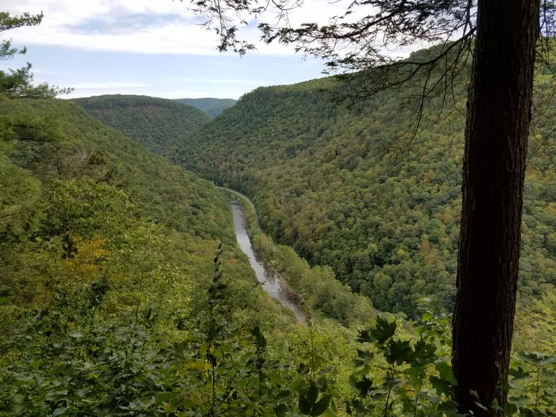 Pine Creek (PA Grand Canyon area)
