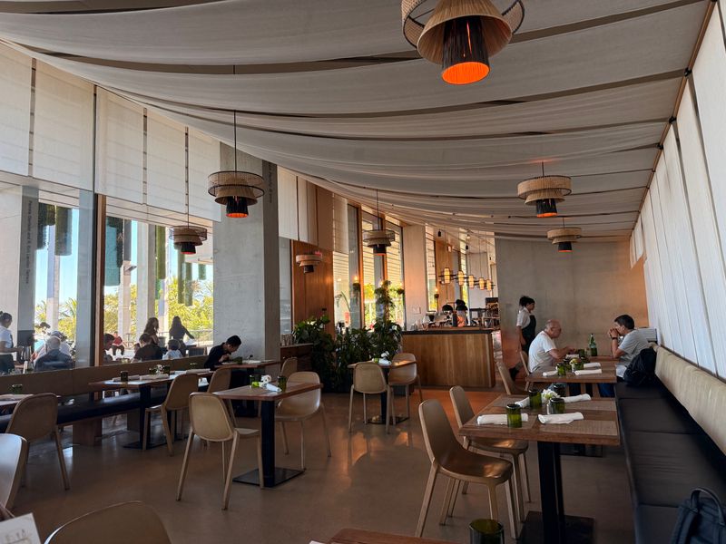 Verde At Pérez Art Museum Miami