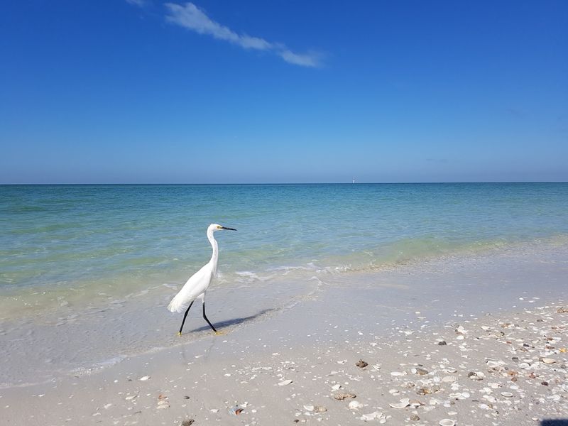 Delnor-Wiggins Pass State Park, Naples