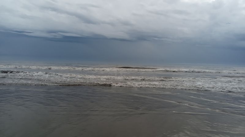 North Boardwalk, Wildwood Park