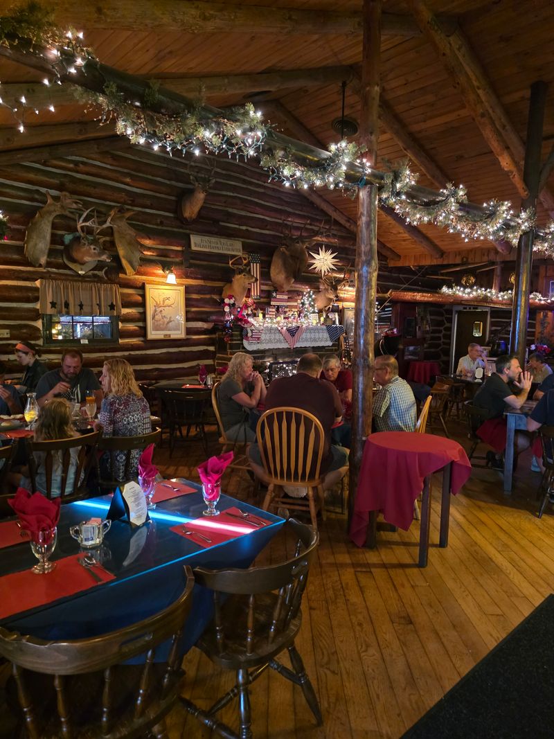 Cozy Atmosphere With Trophy Mounts