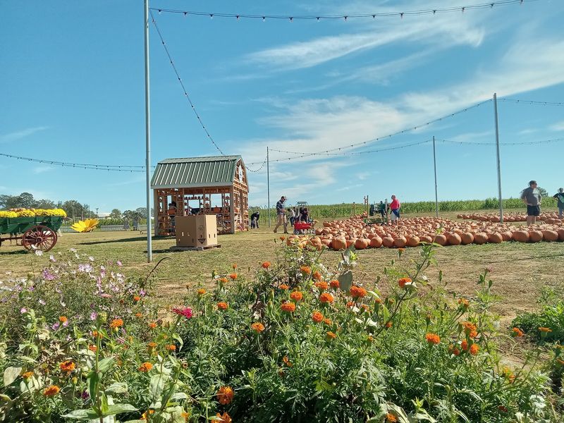 Denver Downs, Anderson