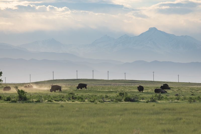 Denver Feels Close, Yet The Prairie Sets The Pace