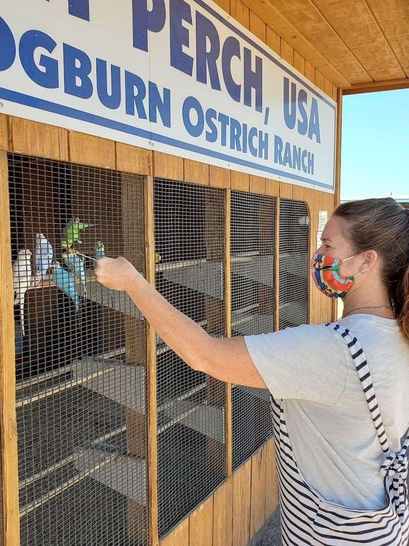 Practical Tips For Your Visit