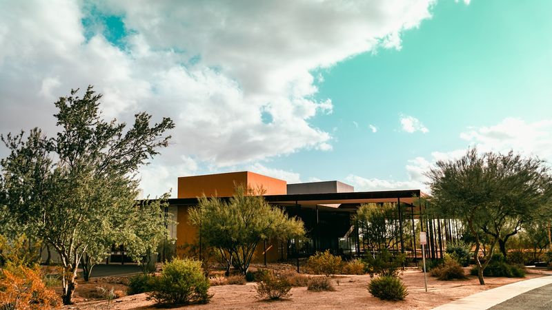 Desert Broom Library, Cave Creek, AZ Desert Broom Library, Cave Creek, AZ