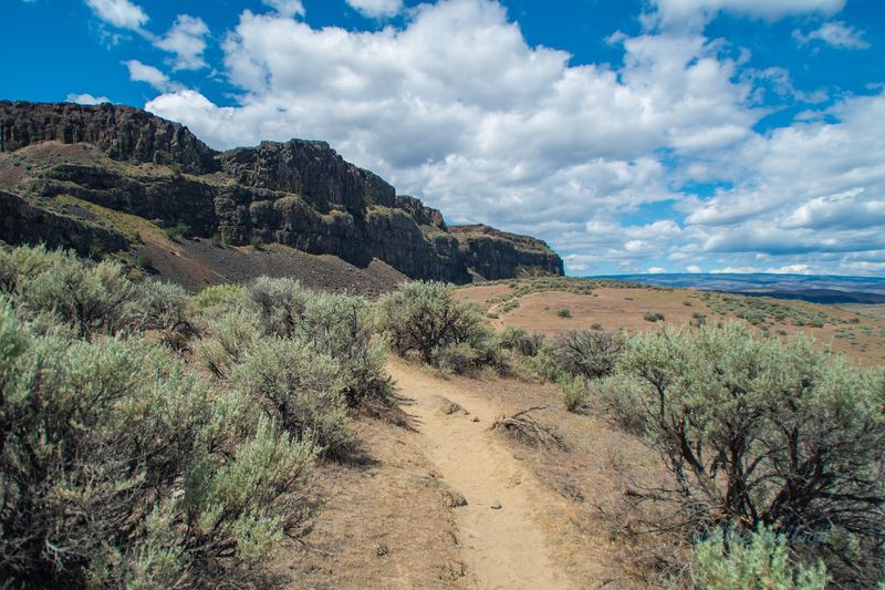 Desert Landscape That Stops You In Your Tracks