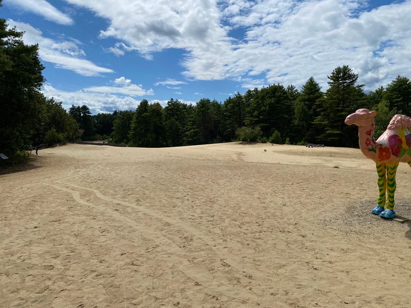Desert Of Maine, Freeport