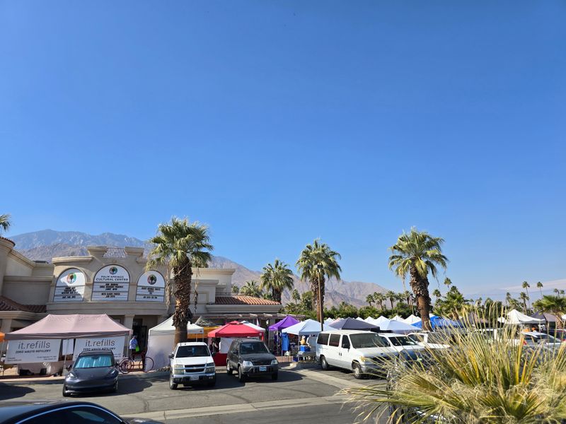 Palm Springs Culture Break Near Palm Springs Art Museum, Palm Springs