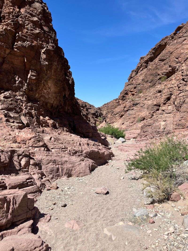 Desert Trails And Cool-Season Adventures 