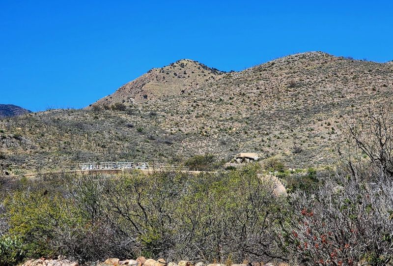 Camping Under An Impossible Sky