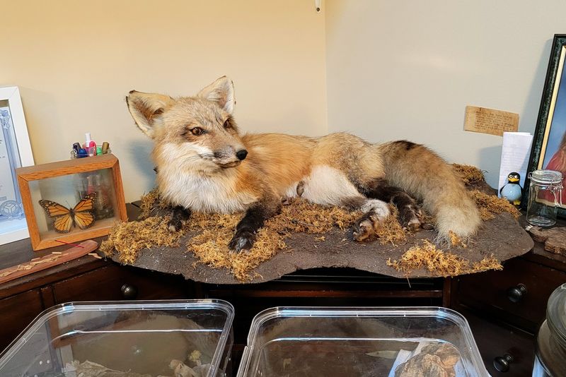 Serious Skill Behind The Scenes