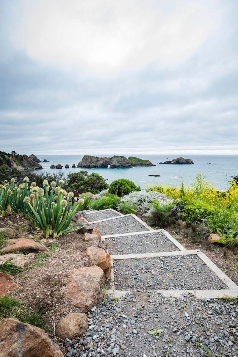 A Morning After Stroll And Farewell