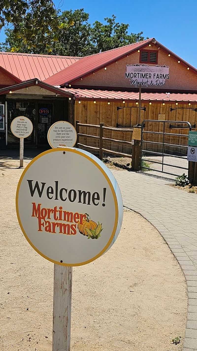 Planning Your Visit To Mortimer Farms