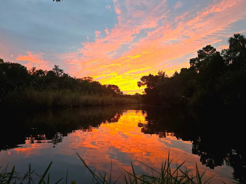 Spectacular Views of Hall's River Right From Your Seat