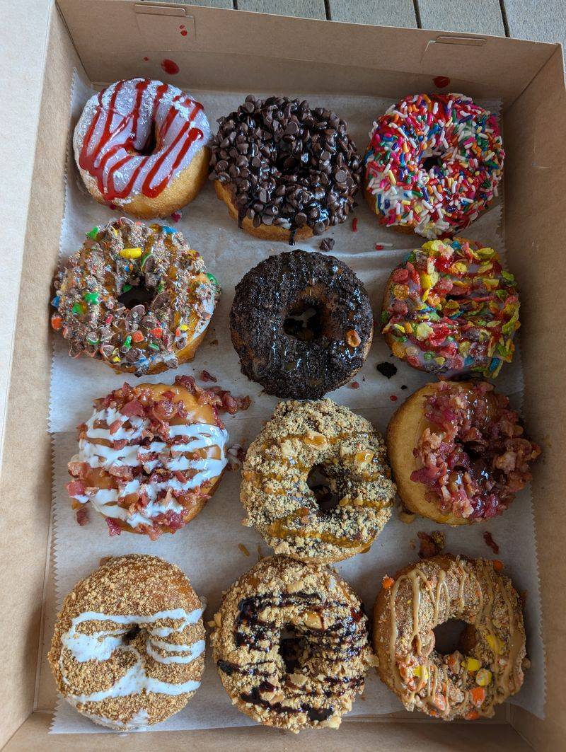 The Donut Experiment – Anna Maria Island