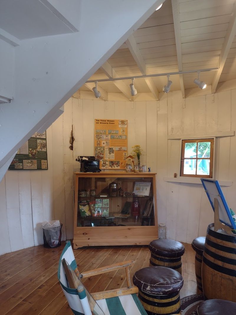 Logbook Of A Cartoonist’s Retreat