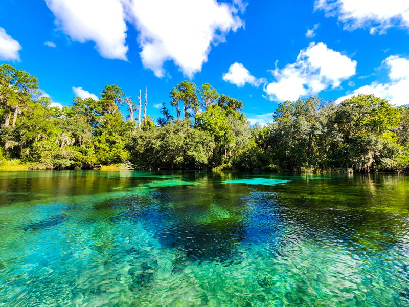 Rainbow Springs State Park