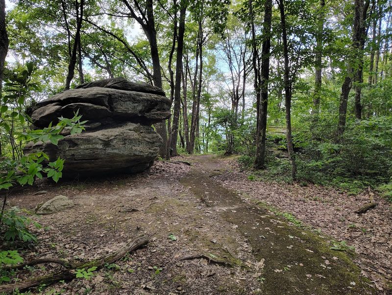 Jakes Rocks Overlook, Allegheny National Forest