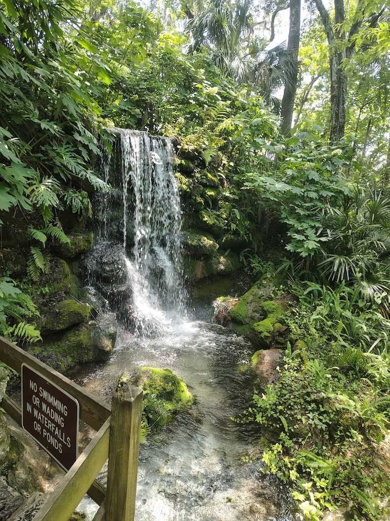 Rainbow Springs State Park 