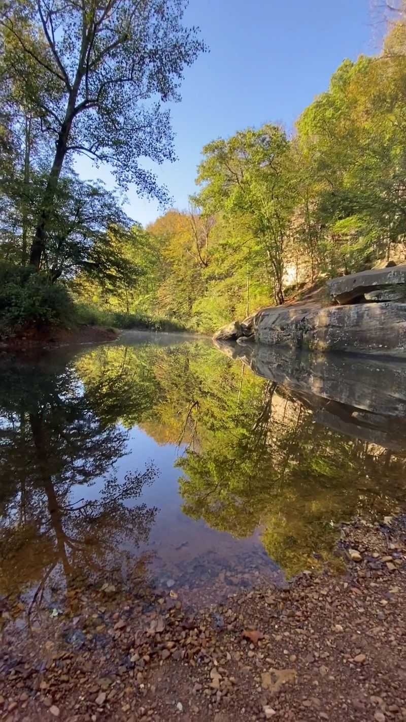 Water Levels, Seasons, And Timing