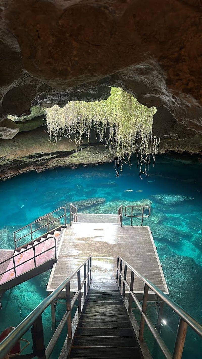 Devil's Den Prehistoric Spring, Levy County
