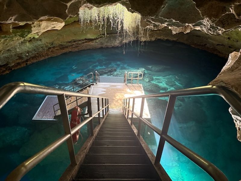 Devil's Den Prehistoric Spring, Williston