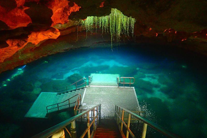 Devil's Den Prehistoric Spring, Williston
