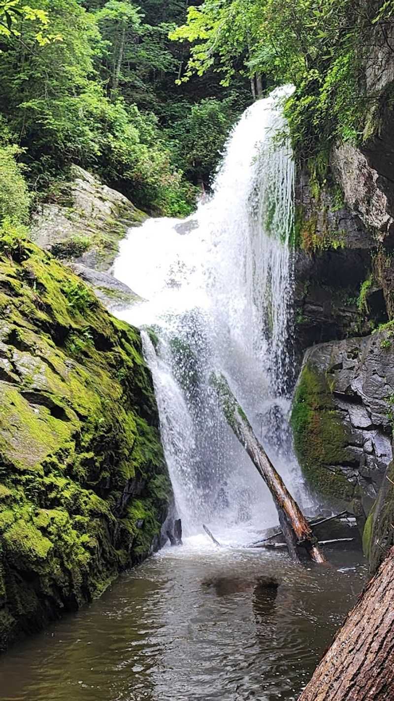 Devils Fork State Park, Salem Devils Fork State Park, Salem