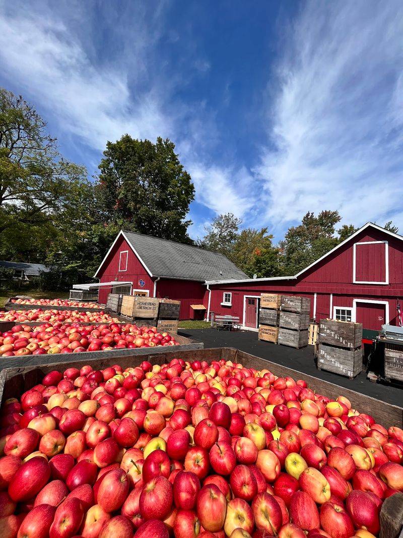 Dexter Cider Mill