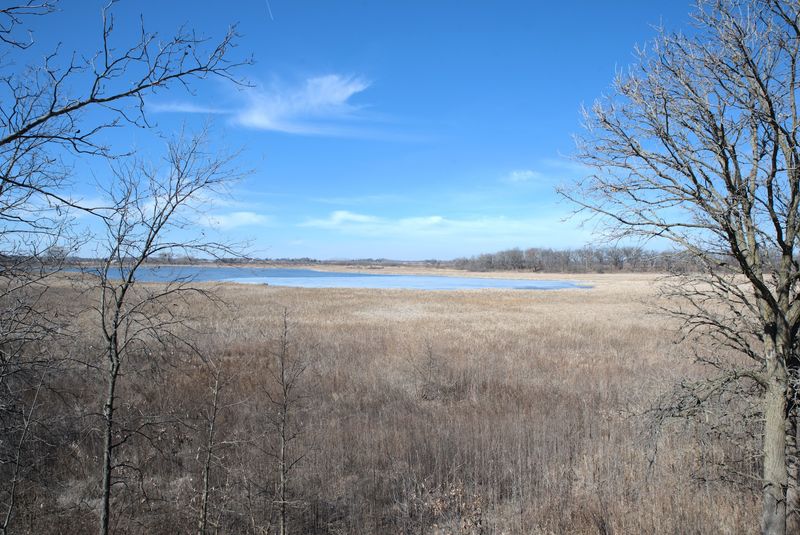 Dick Young Forest Preserve