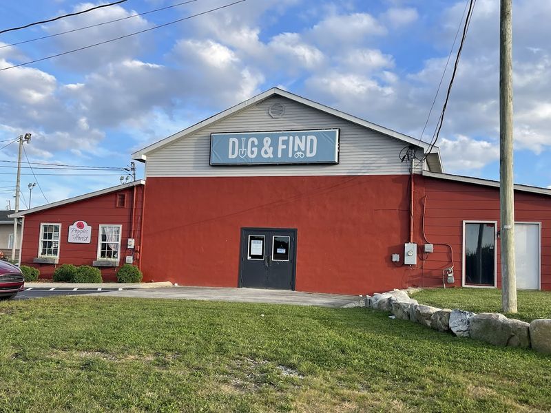 Dig & Find Dig & Find