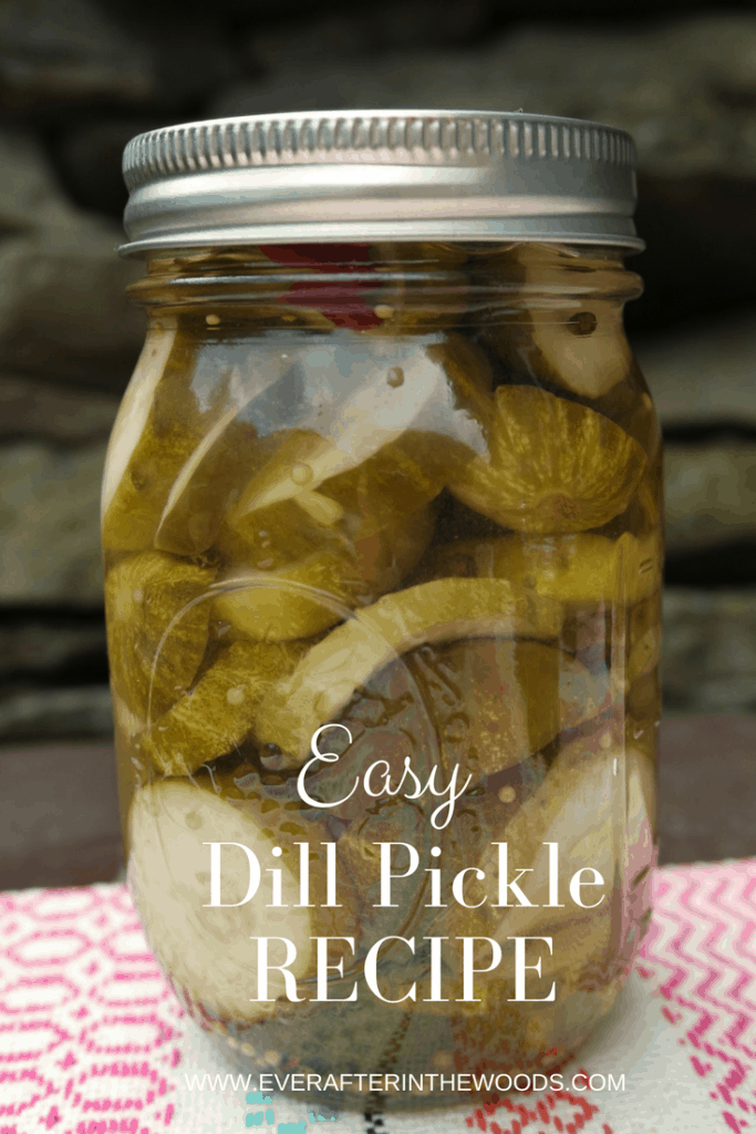 Dill Pickle Spears Ever After in the Woods