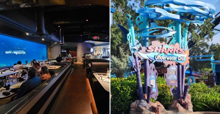 Dine Face-To-Face With Sharks At This Florida Aquarium Restaurant