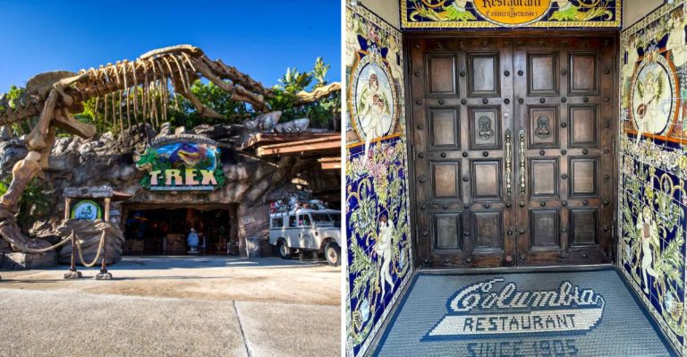 Dine With A Difference At 10 Florida Restaurants With Unique Family-Friendly Ambiance