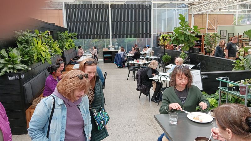 Dining Beneath Leaves And Sunlight