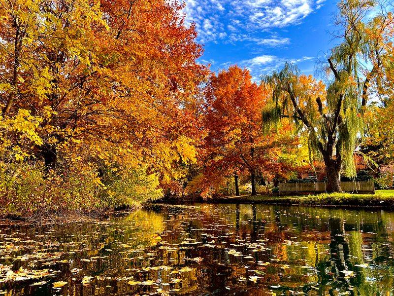 Nature Edges And Nearby Trails