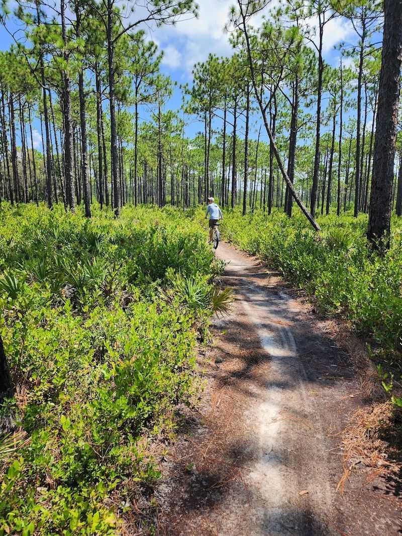 Scenic Highway 30A and the Drive There