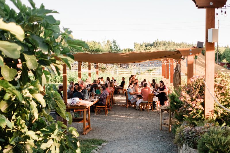 Dining Outdoors Among The Apple Trees