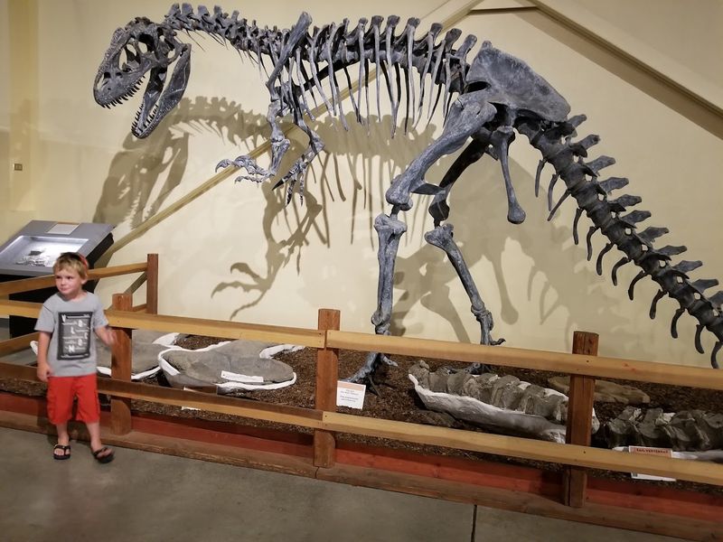 Dino Digs: Getting Your Hands on the Excavation Experience