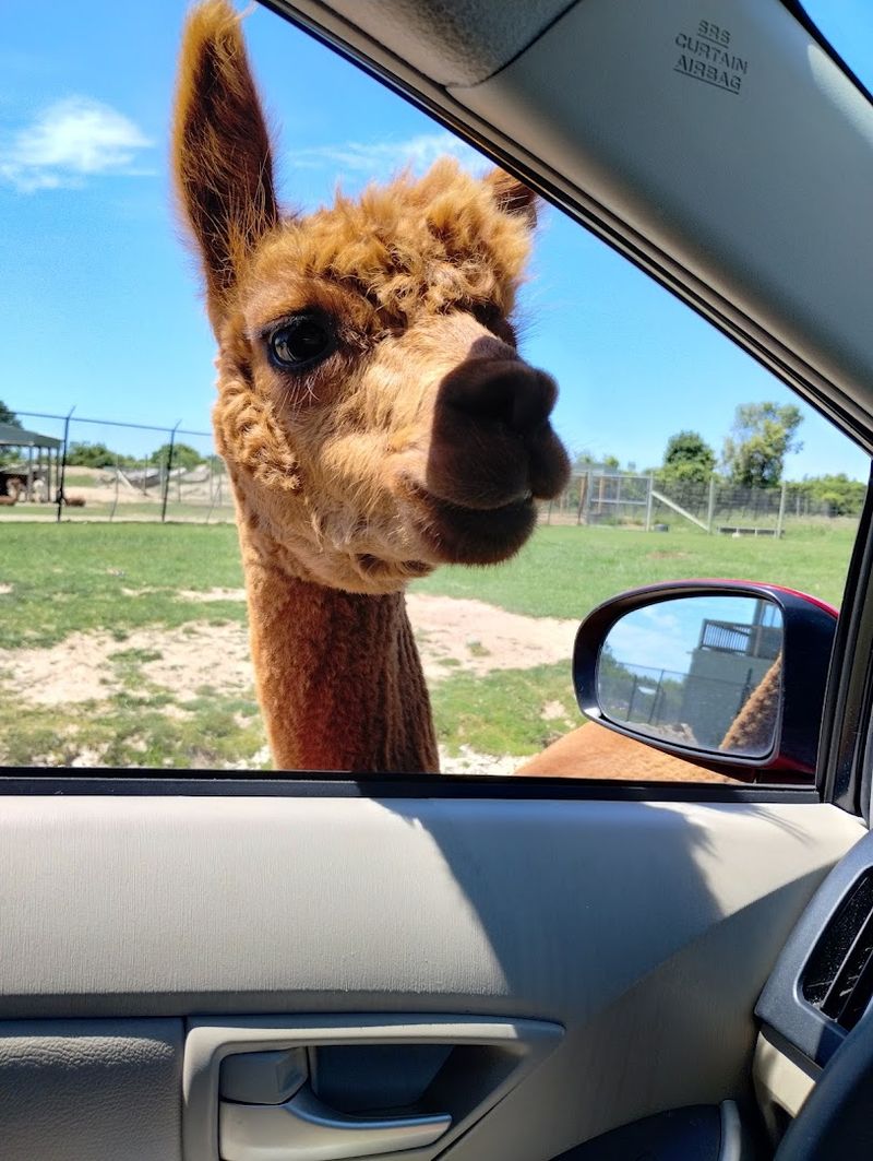 Practical Tips for Planning Your Visit