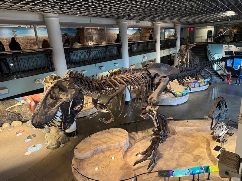 Dinosaur Hall: Where Giants Still Rule Dinosaur Hall: Where Giants Still Rule