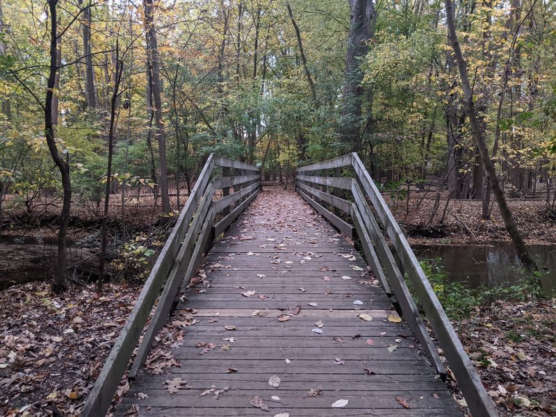 Dinosaur Hill Nature Preserve Dinosaur Hill Nature Preserve