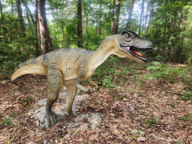 Dinosaur Trail Through The Woods