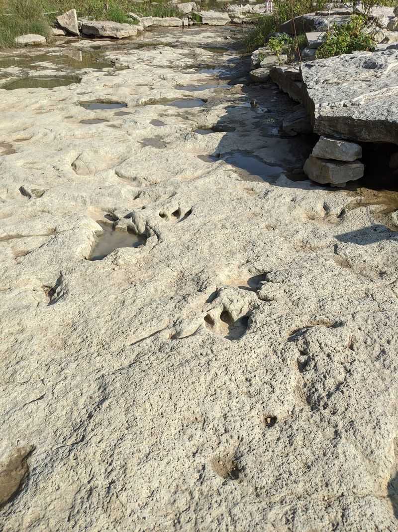 Dinosaur Valley State Park