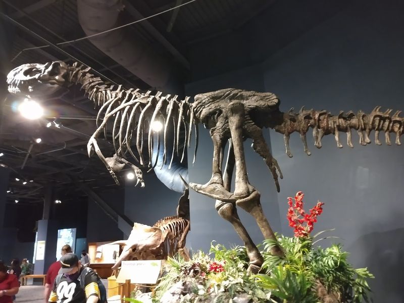 Dinosaur Zone And The Fossil Pit Dinosaur Zone And The Fossil Pit